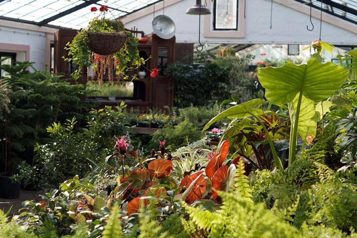 a greenhouse filled with lots of plants and flowers