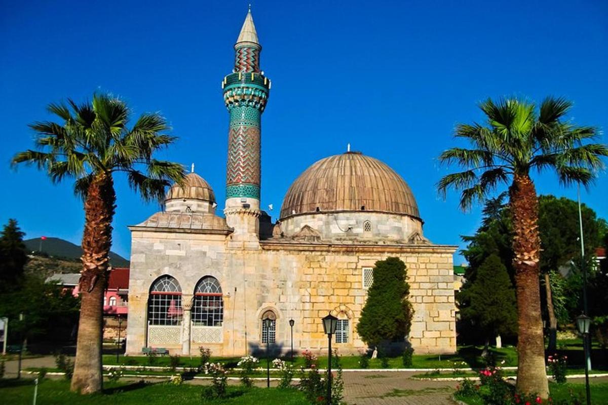 mešita s minaretom na vrchole s palmami