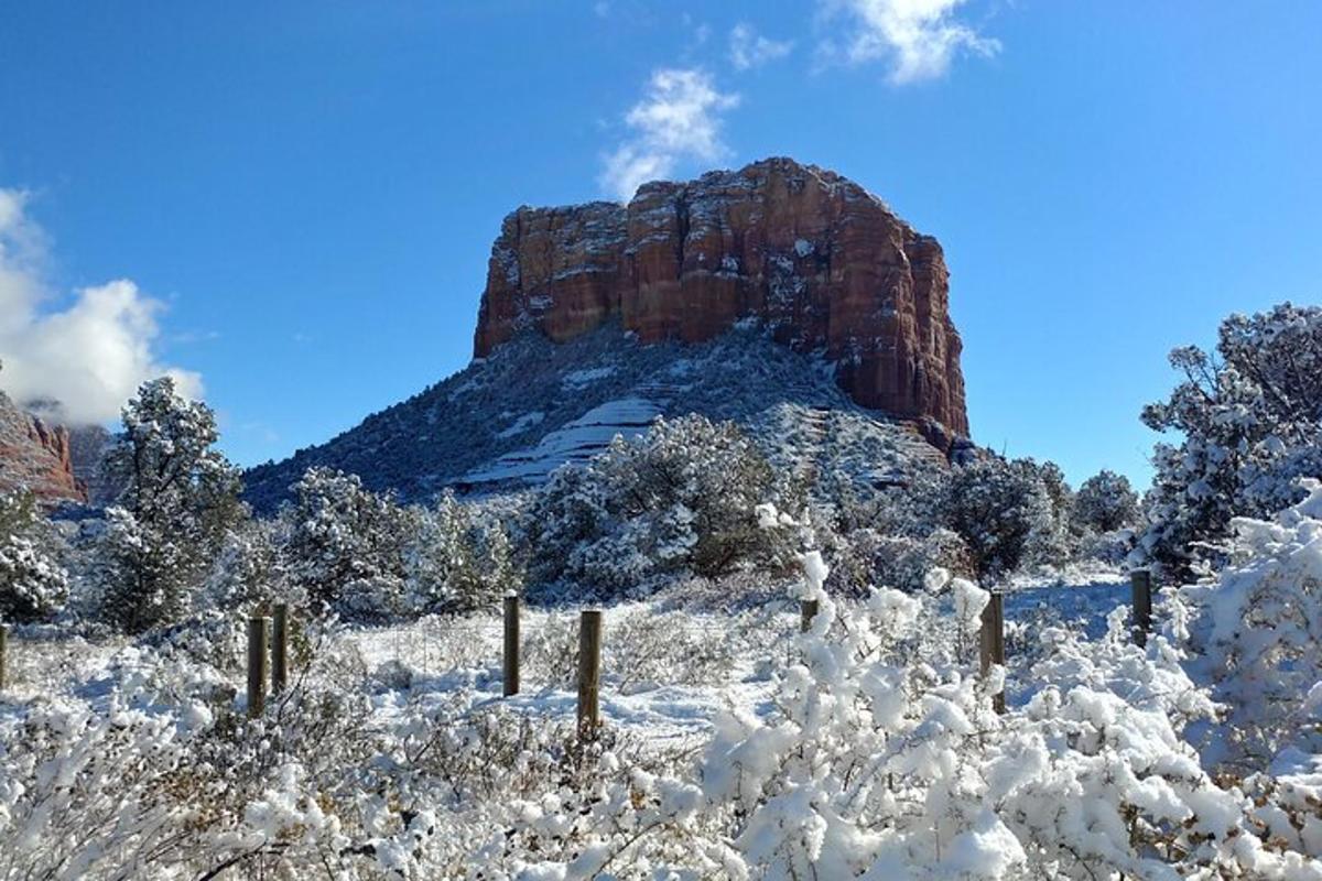 una montagna coperta di neve con alberi di fronte