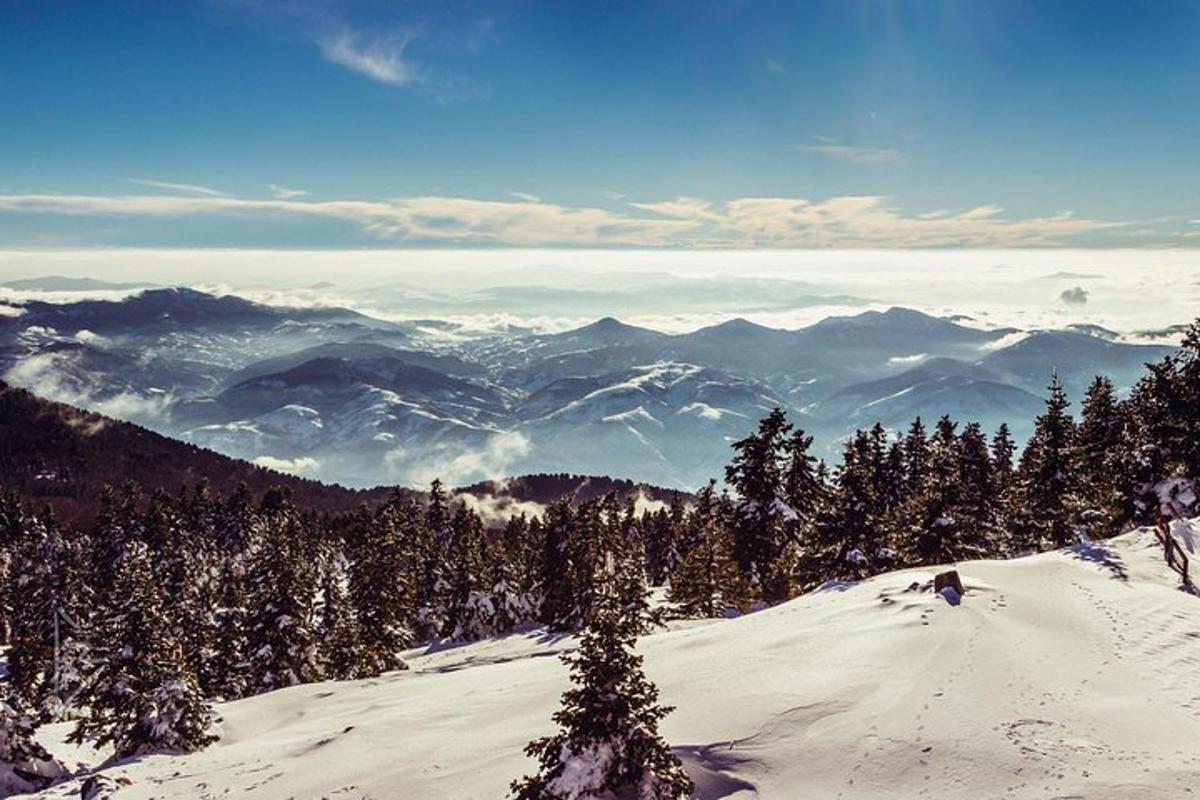 uma vista de uma montanha nevada com árvores e montanhas