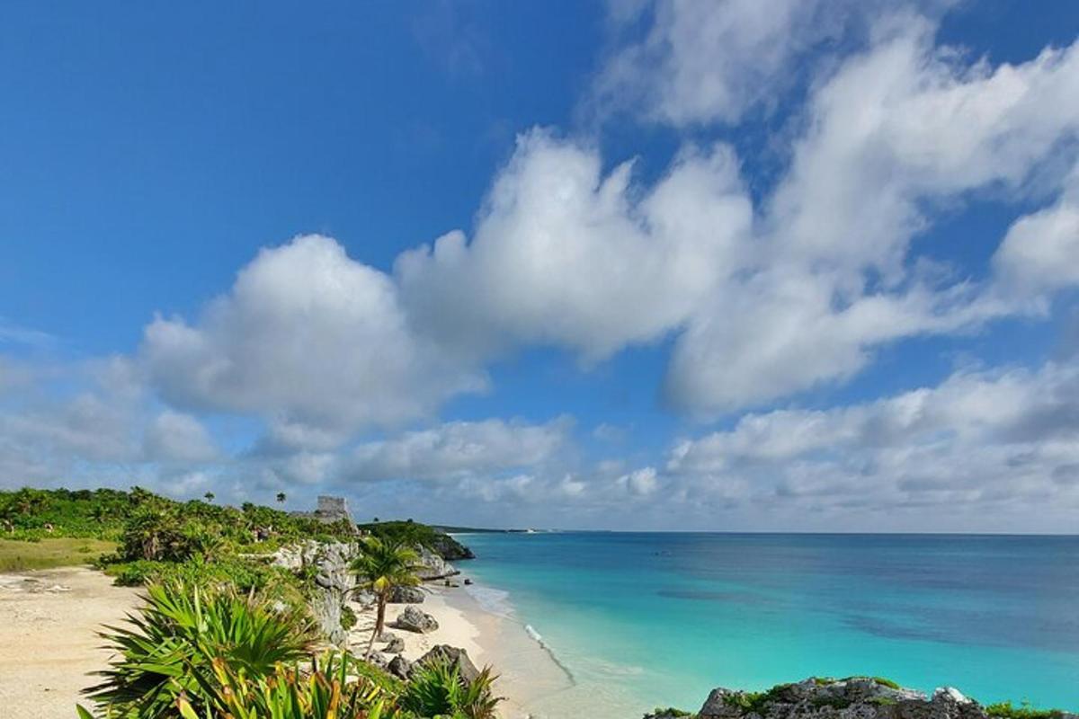 una vista de una playa con el océano