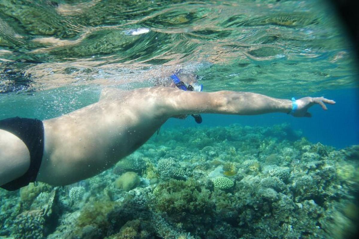 un hombre nadando en el agua cerca de un arrecife