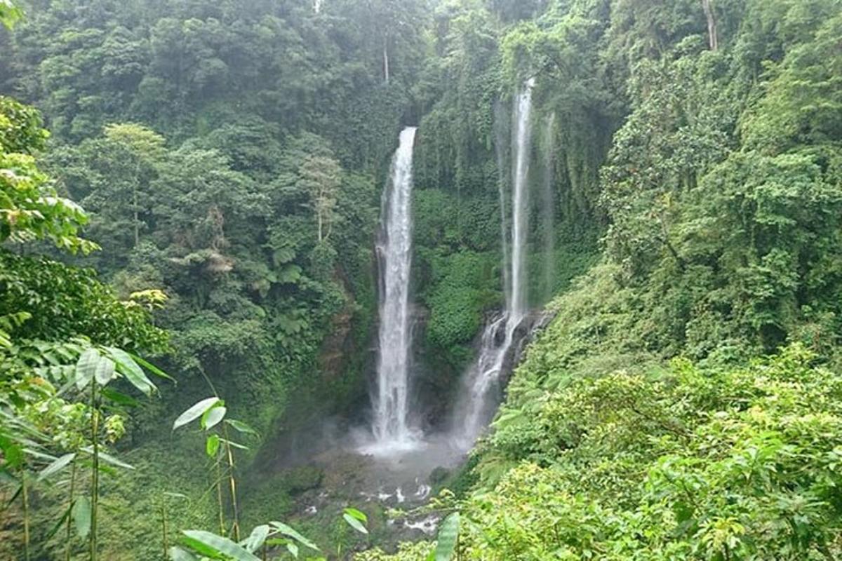 a waterfall in the middle of a forest