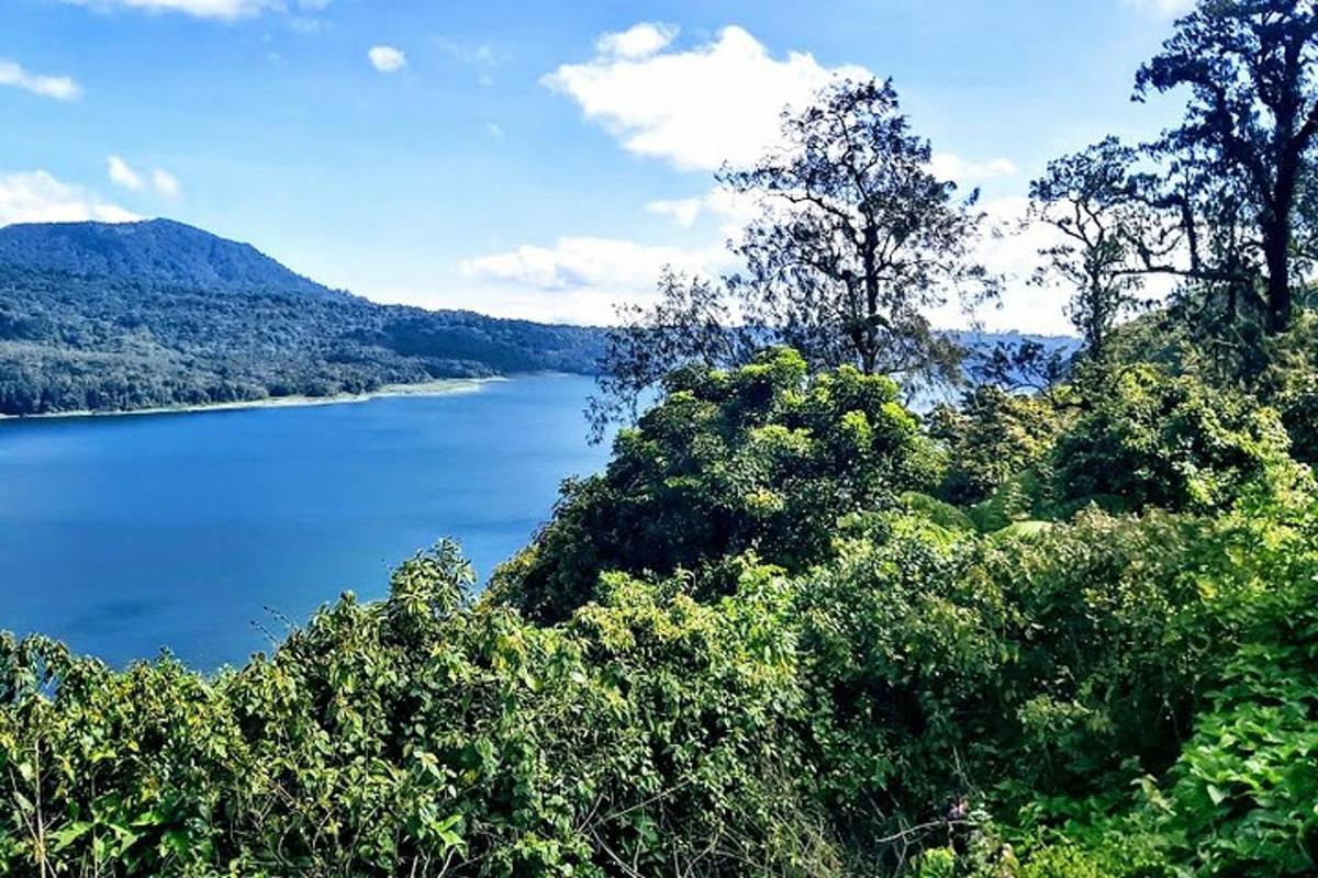 a view of a body of water with trees