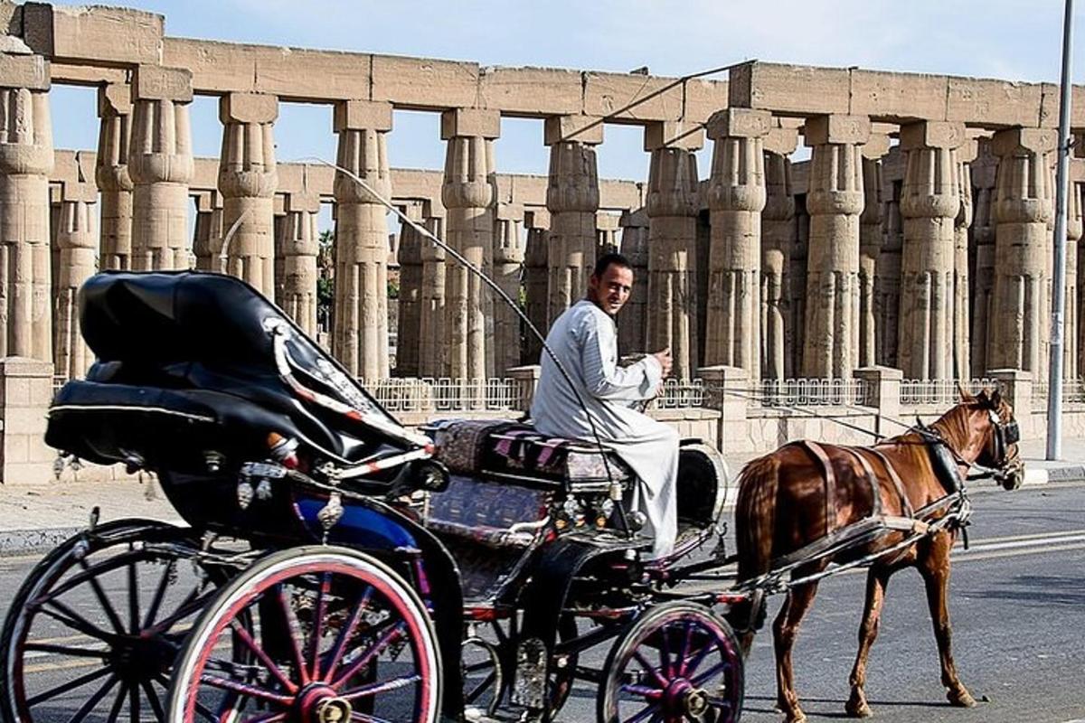 建物の前で馬車に乗っている男性