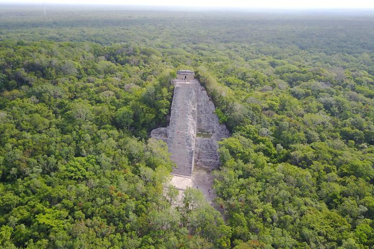uma vista aérea de uma antiga fábrica na floresta