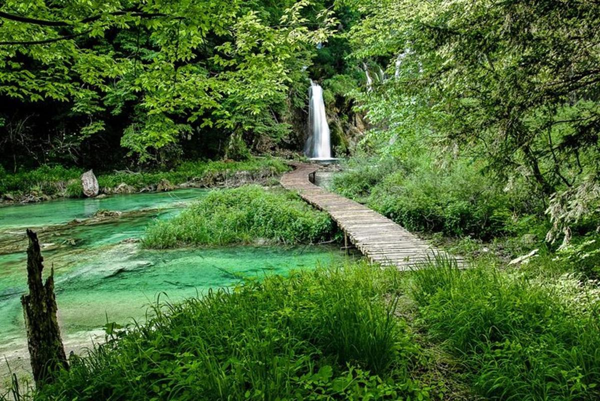 Fotografia 5 a atracției