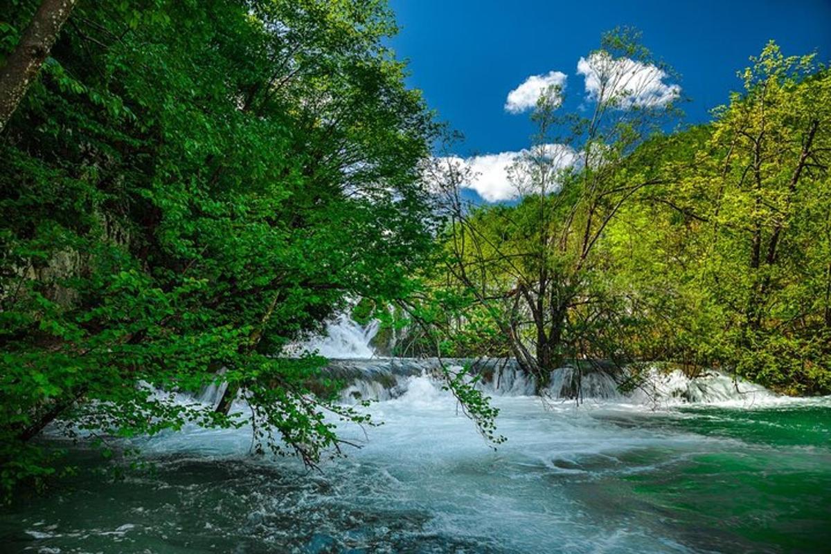 Fotografia 7 a atracției