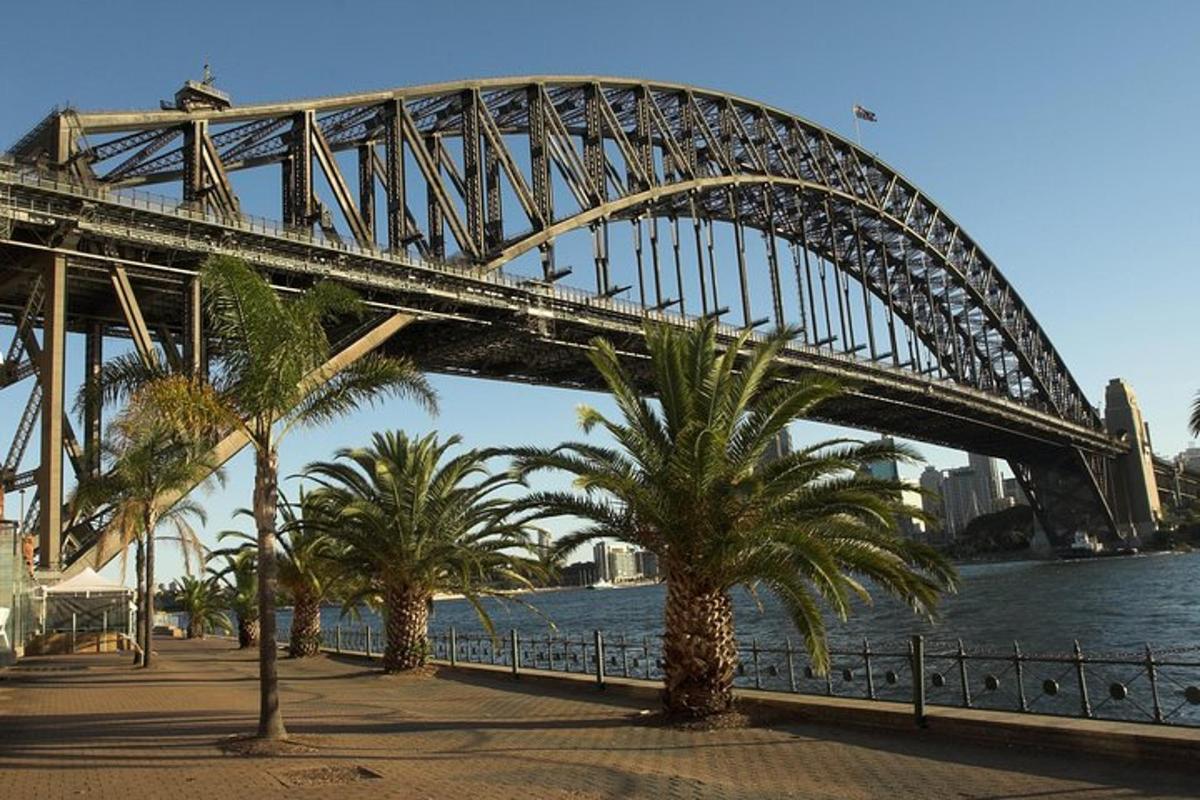 un pont sur l'eau avec des palmiers en dessous