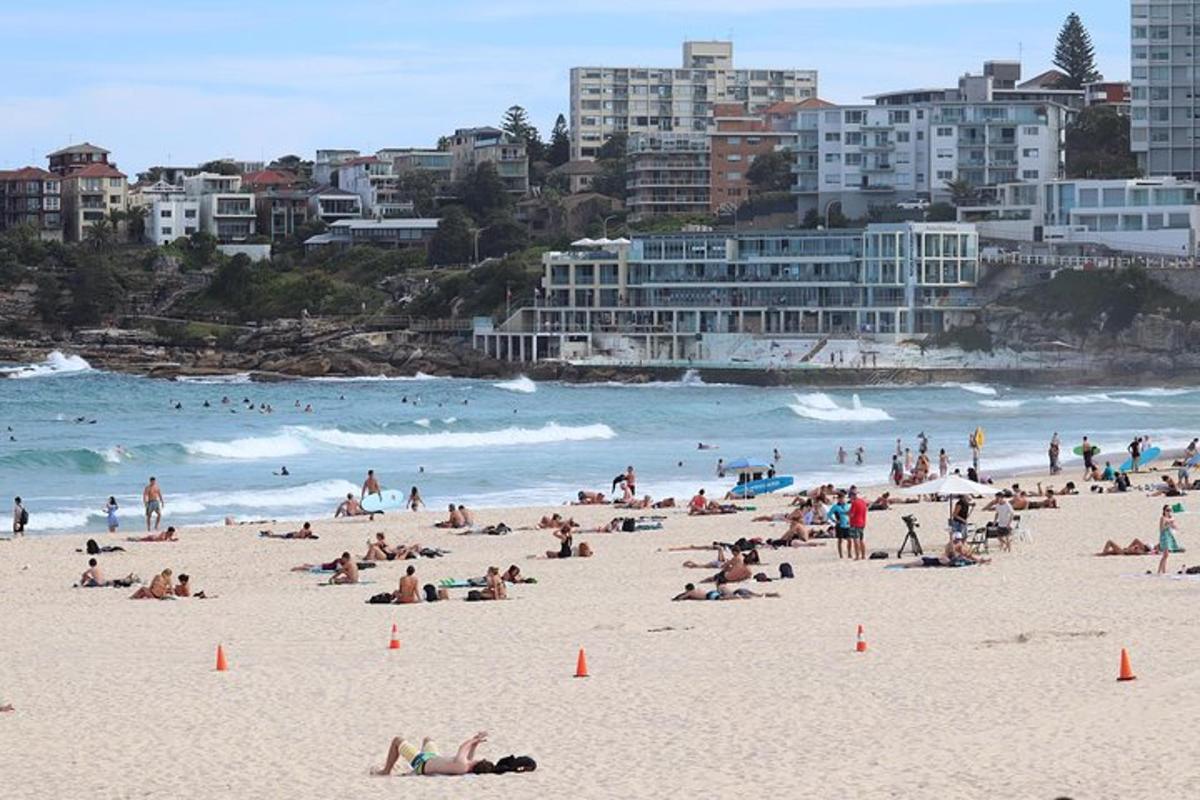 un groupe de personnes sur une plage près de l'océan
