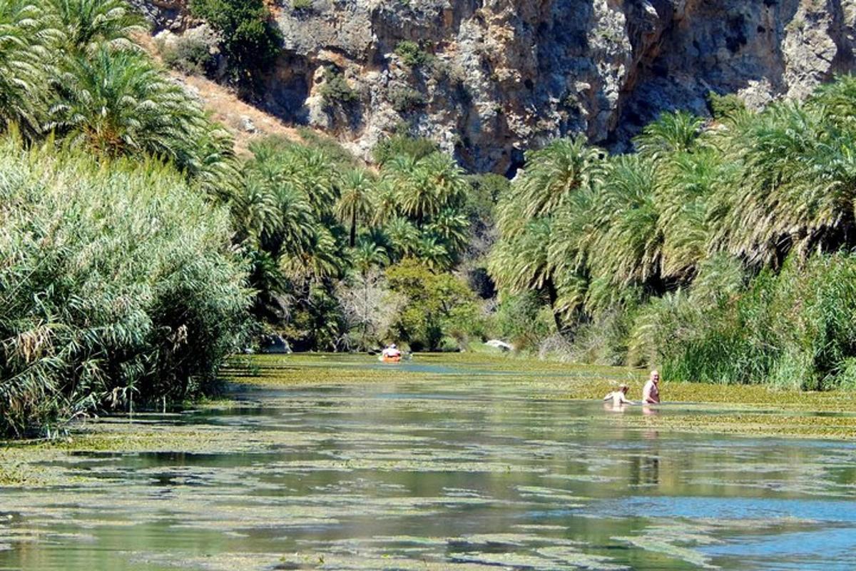 un grupo de personas nadando en un río