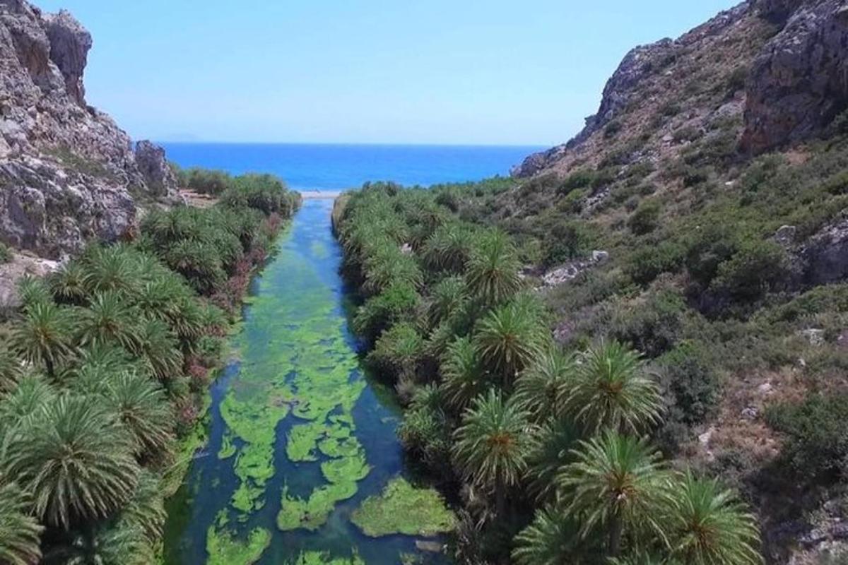 an aerial view of a river with palm trees