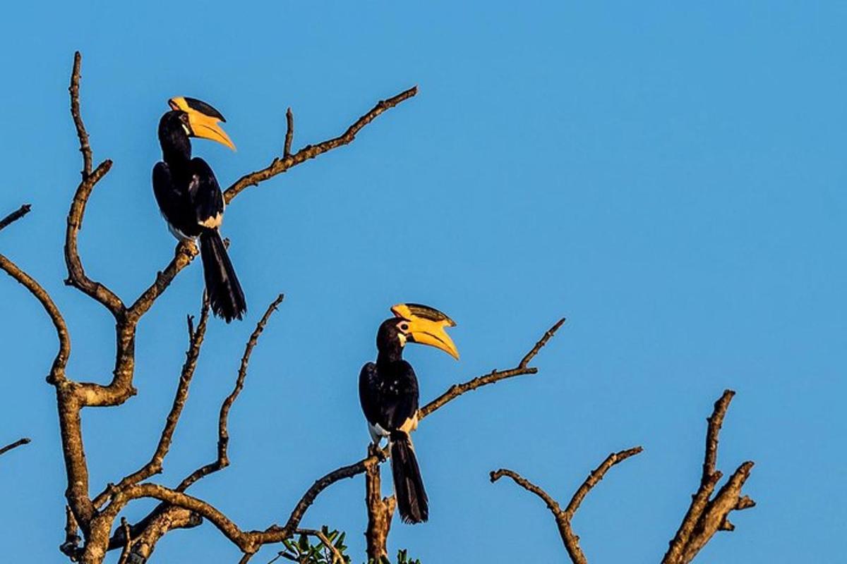 Fotografia da atração 2