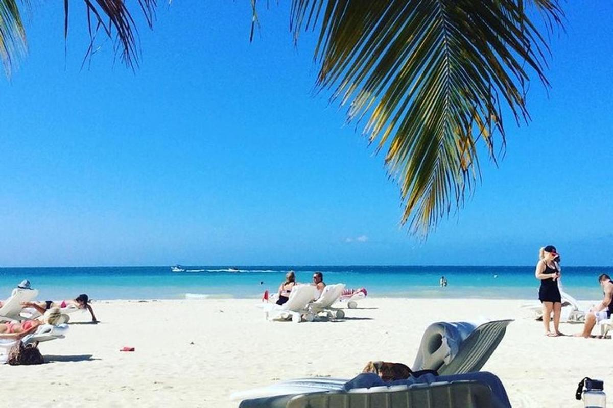 Un grupo de personas en una playa con el océano