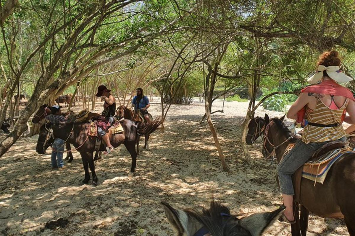 um grupo de pessoas andando a cavalo na floresta