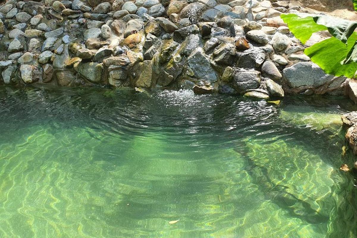 un bassal d'aigua al costat d'unes roques