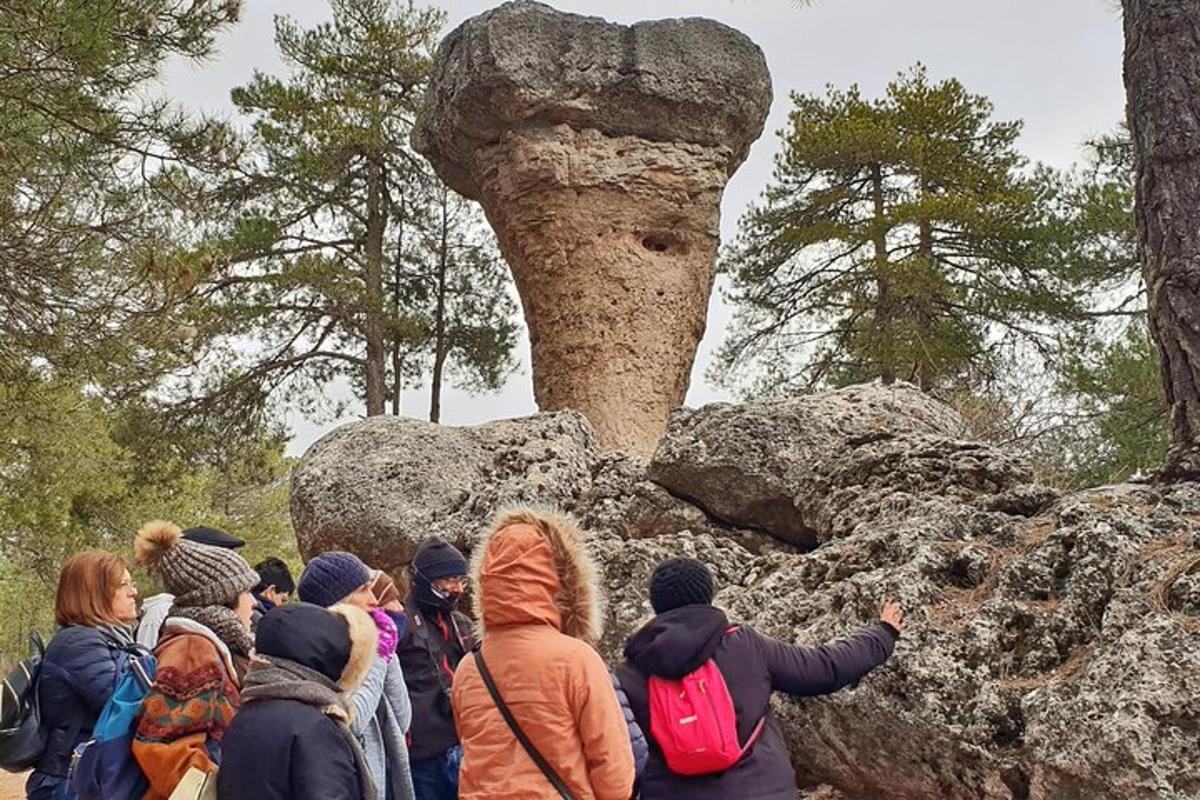 Zdjęcie numer 1 atrakcji