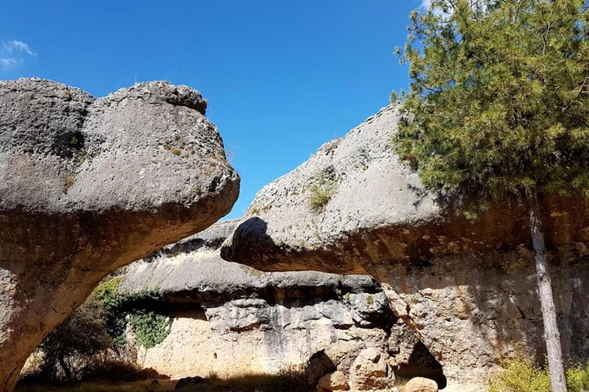 Fotografia da atração 3