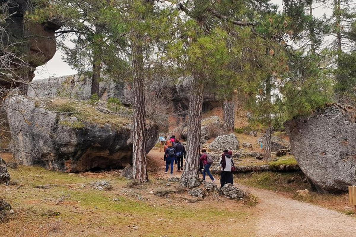 Lankytinos vietos ar pramogos nuotrauka numeris 7