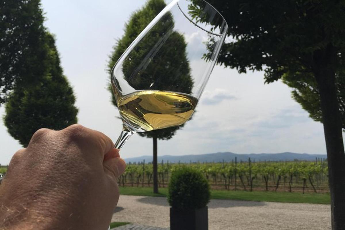 una persona che tiene in mano un bicchiere di vino