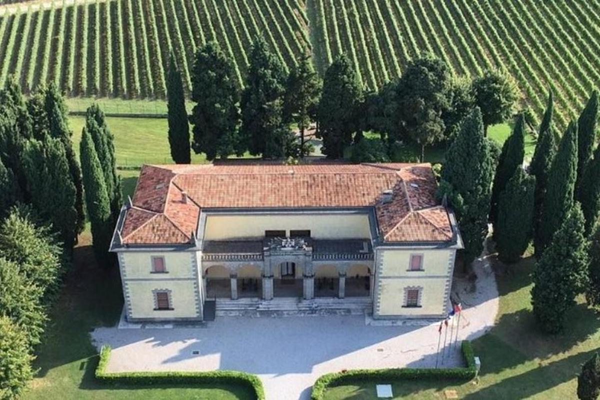 eine Luftaufnahme eines Herrenhauses mit Bäumen und Weinreben