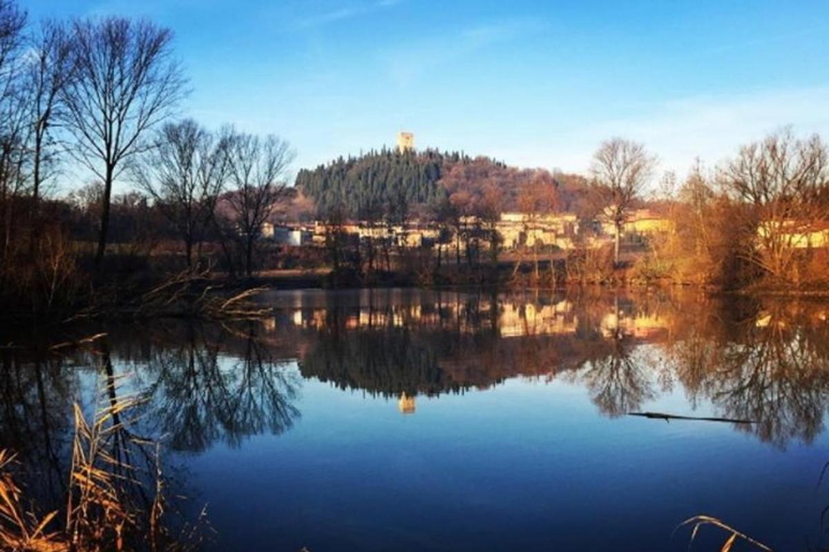 Blick auf einen See mit Bäumen und Häusern