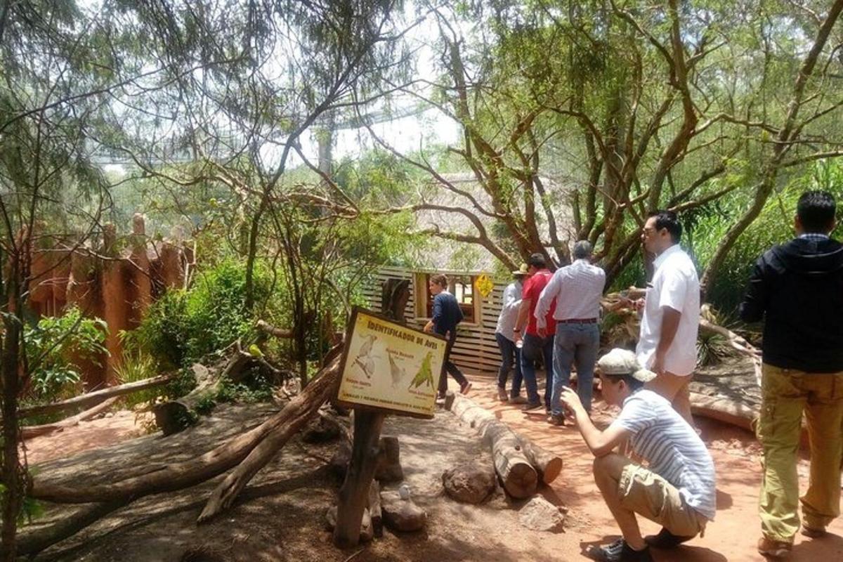 Fotografia da atração 3