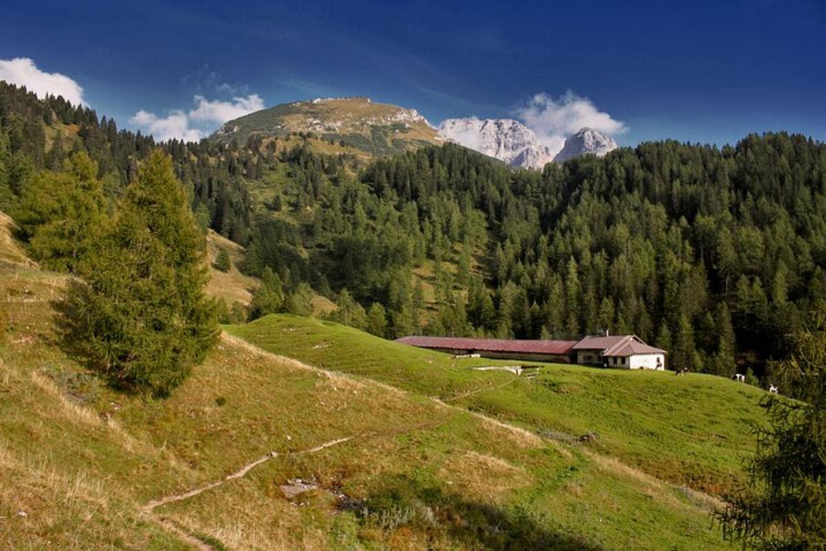 Fotografia 5 a atracției