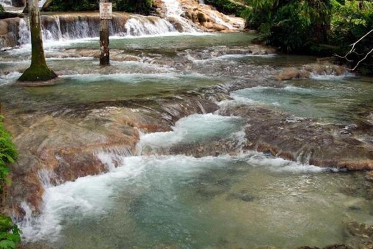 un corso d'acqua con rapide sulle rocce