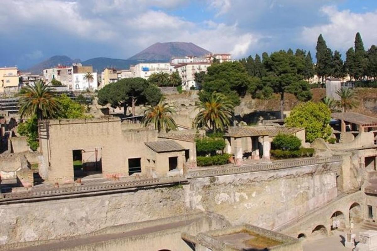 uma vista de uma cidade com edifícios e árvores