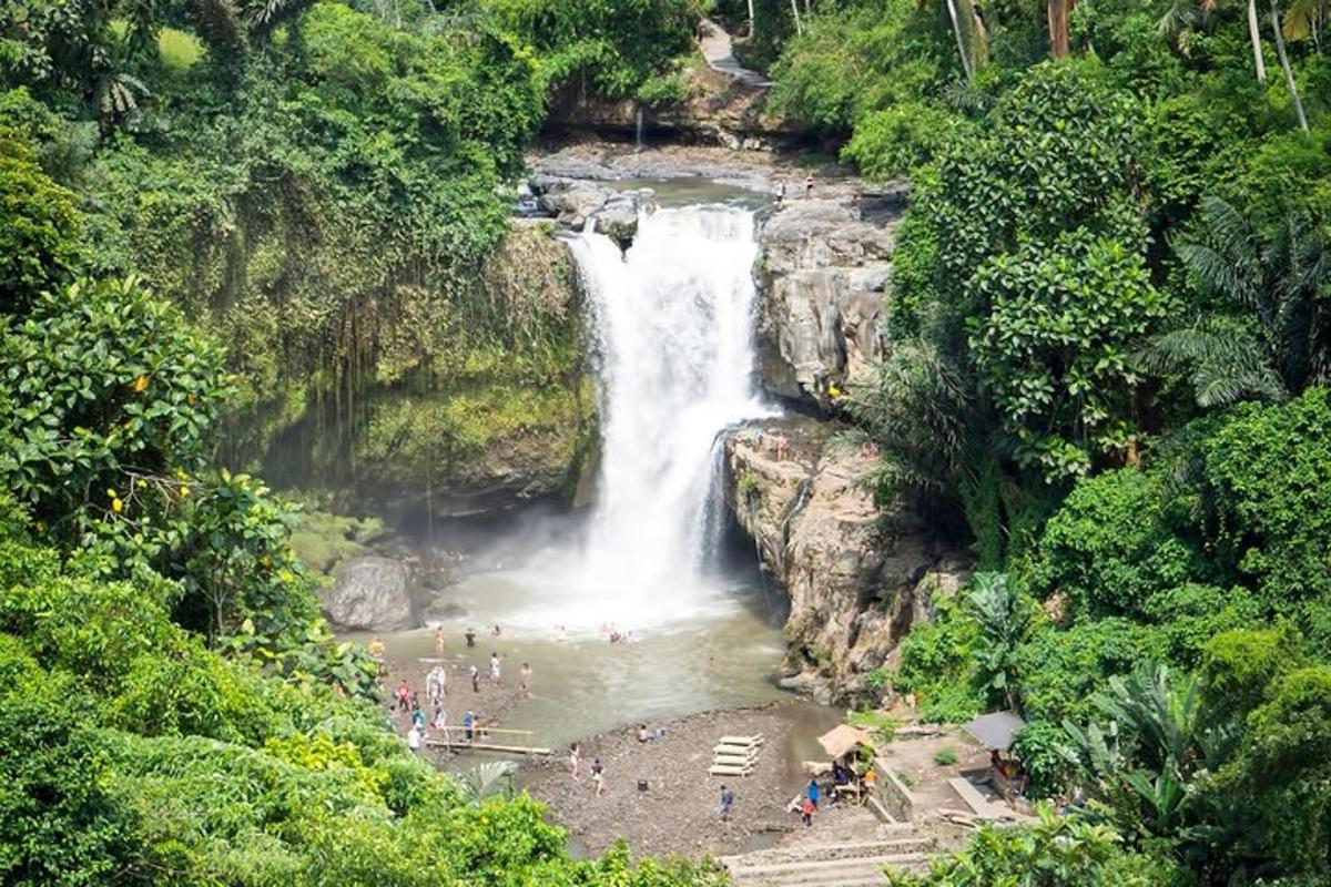 una cascata nel mezzo di una giungla con un gruppo di persone