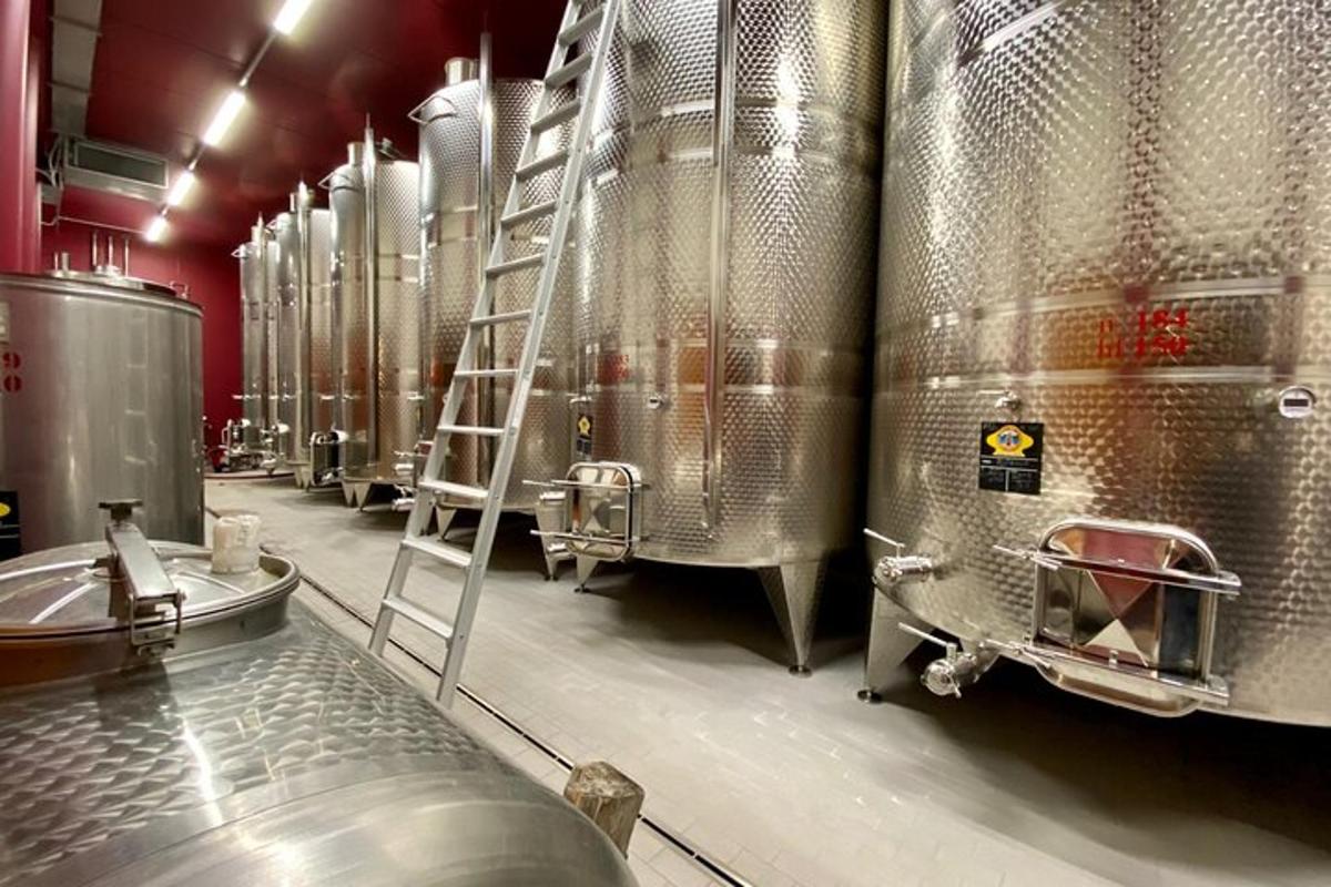 una fila di serbatoi d'argento in un birrificio