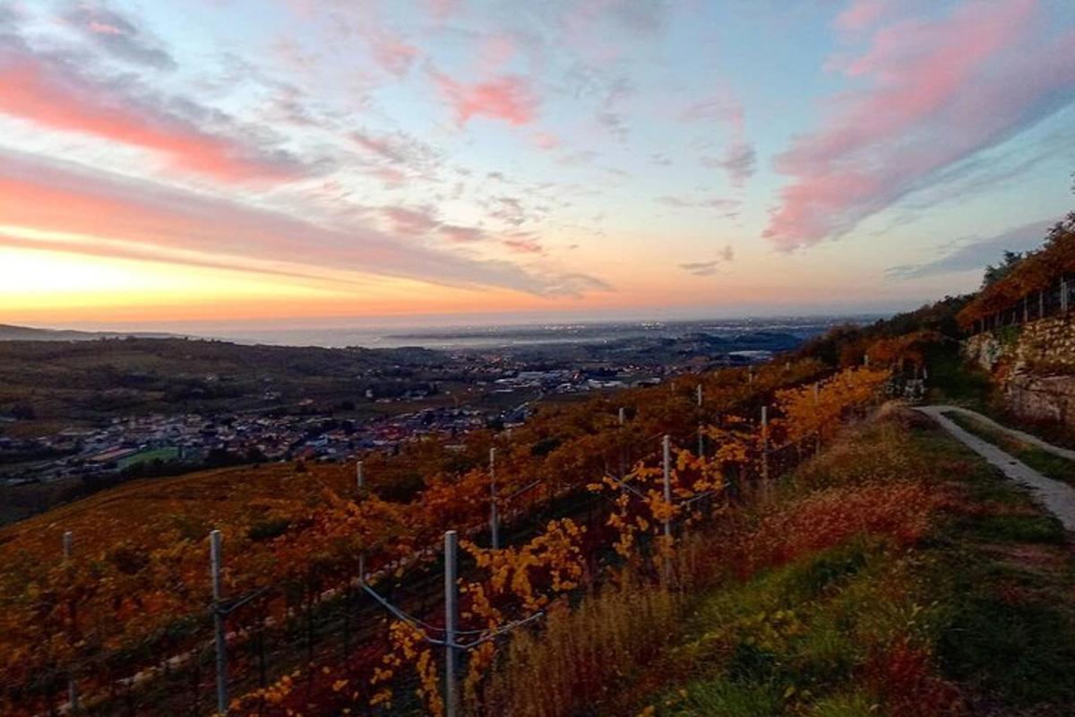 una vista di una città da una collina al tramonto