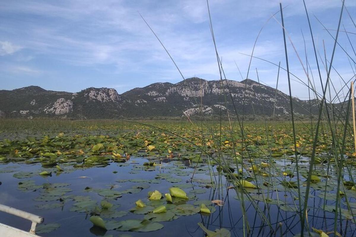 un campo d'acqua con una montagna sullo sfondo