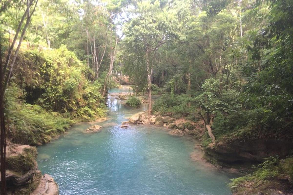 sungai di tengah-tengah hutan