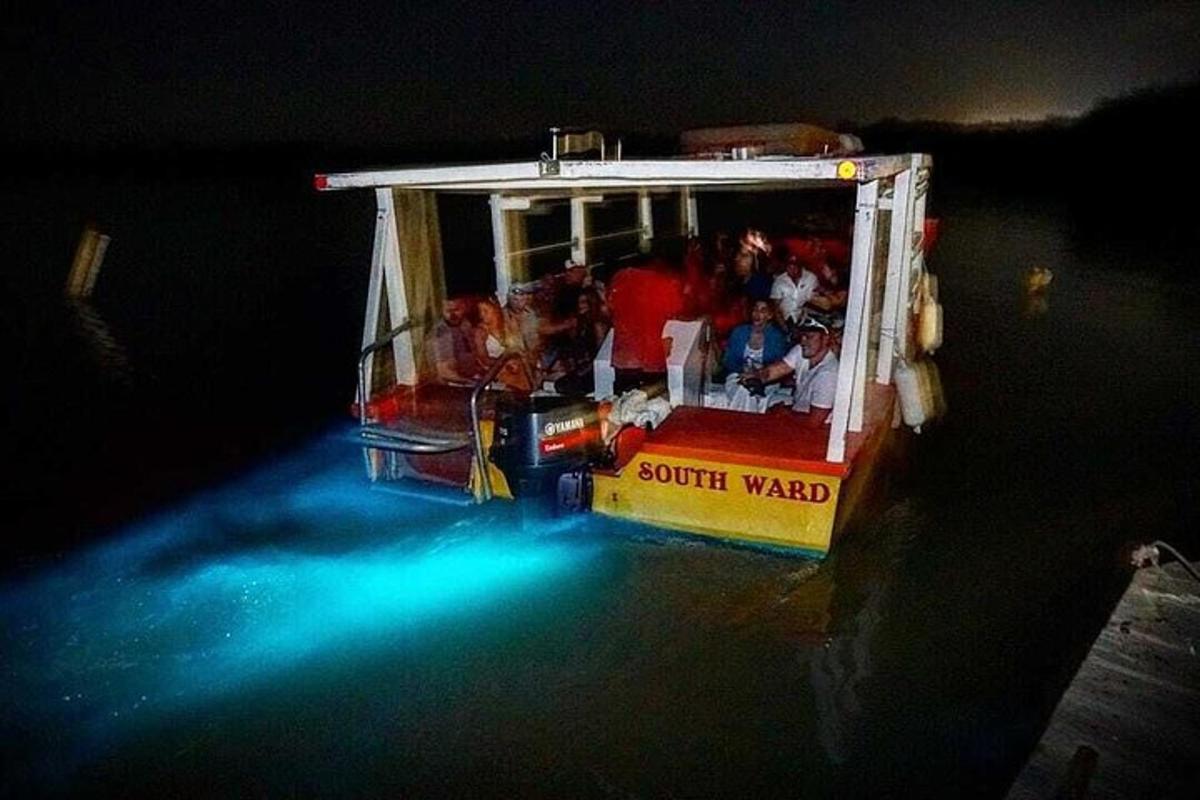un gruppo di persone che viaggiano sulle montagne russe di notte