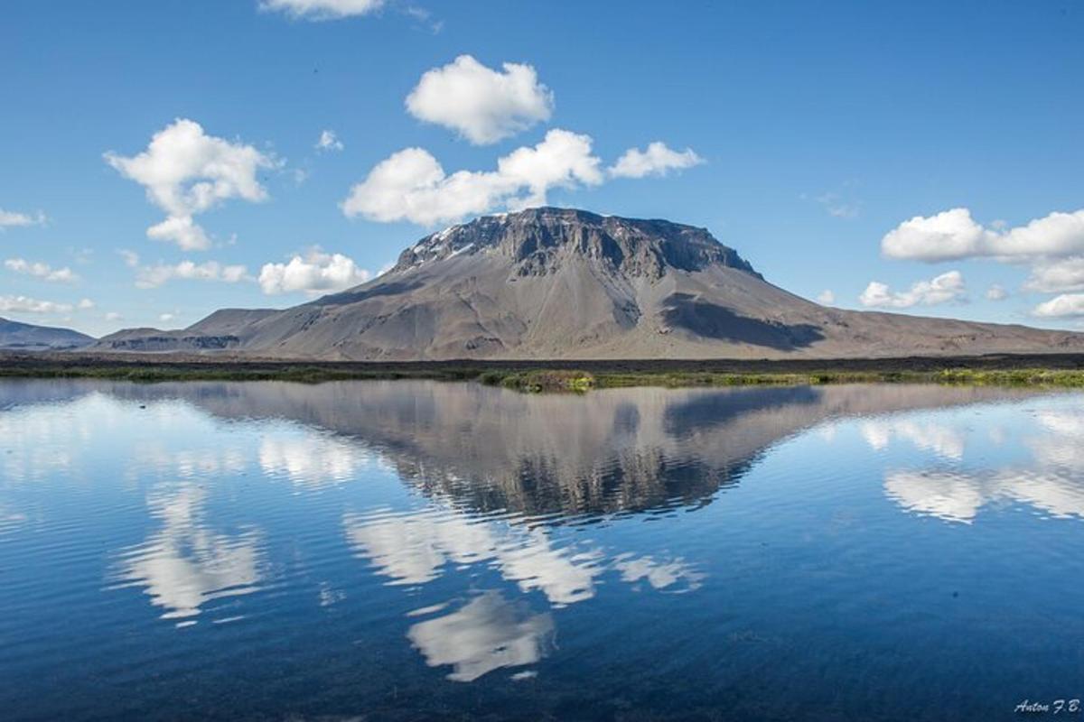 Ljósmynd af afþreyingu 5