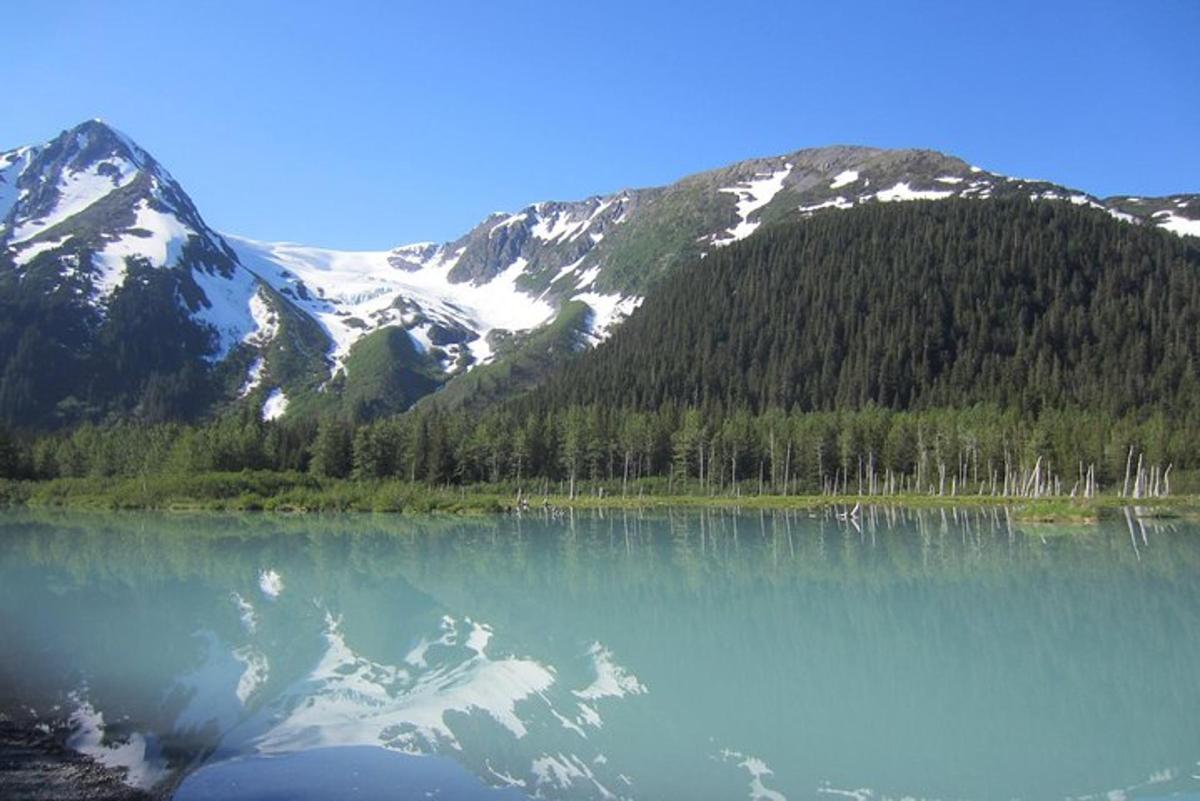 Una vista de un lago con montañas cubiertas de nieve.