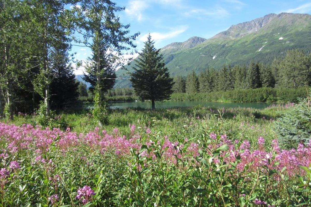 Un campo de flores con un lago y montañas.