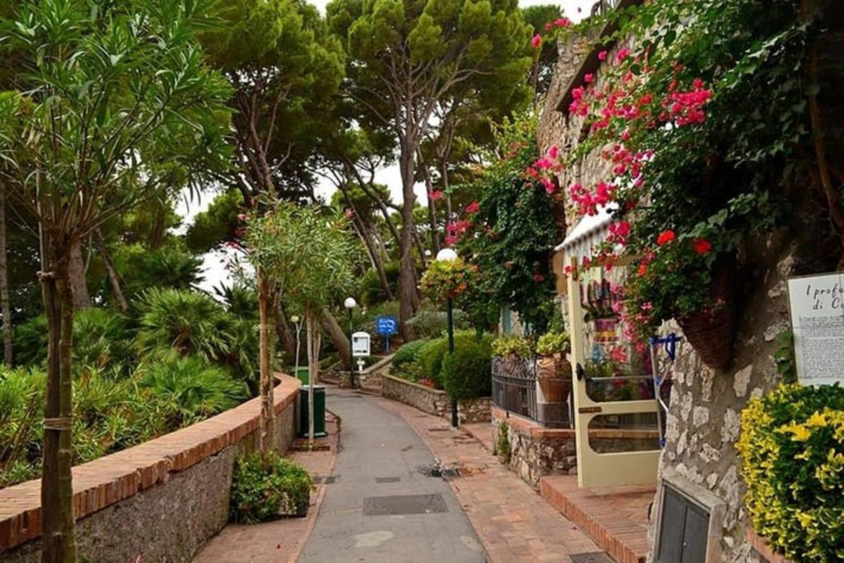 un carrer amb flors al costat d'un edifici