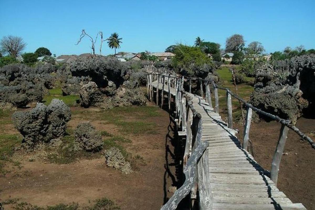 Foto 5 de l'atracció turística