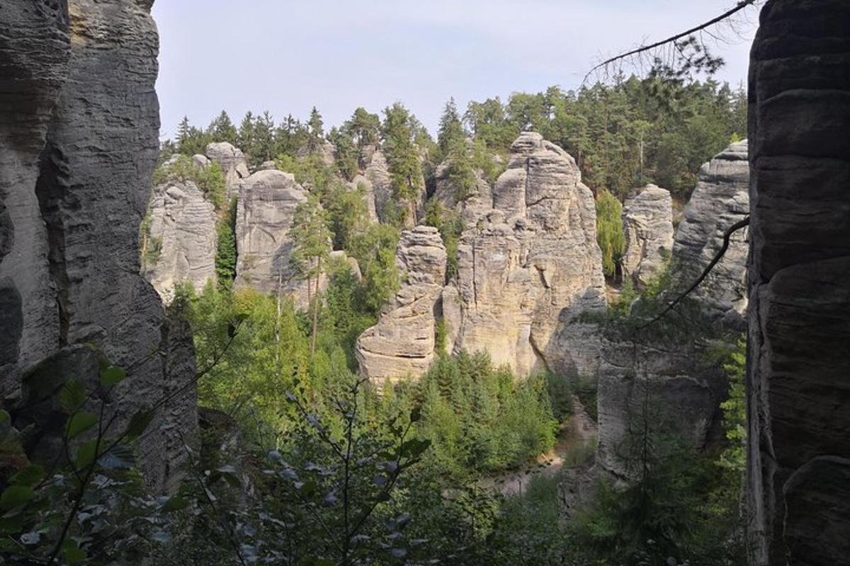 a view of a mountain with trees and rocks