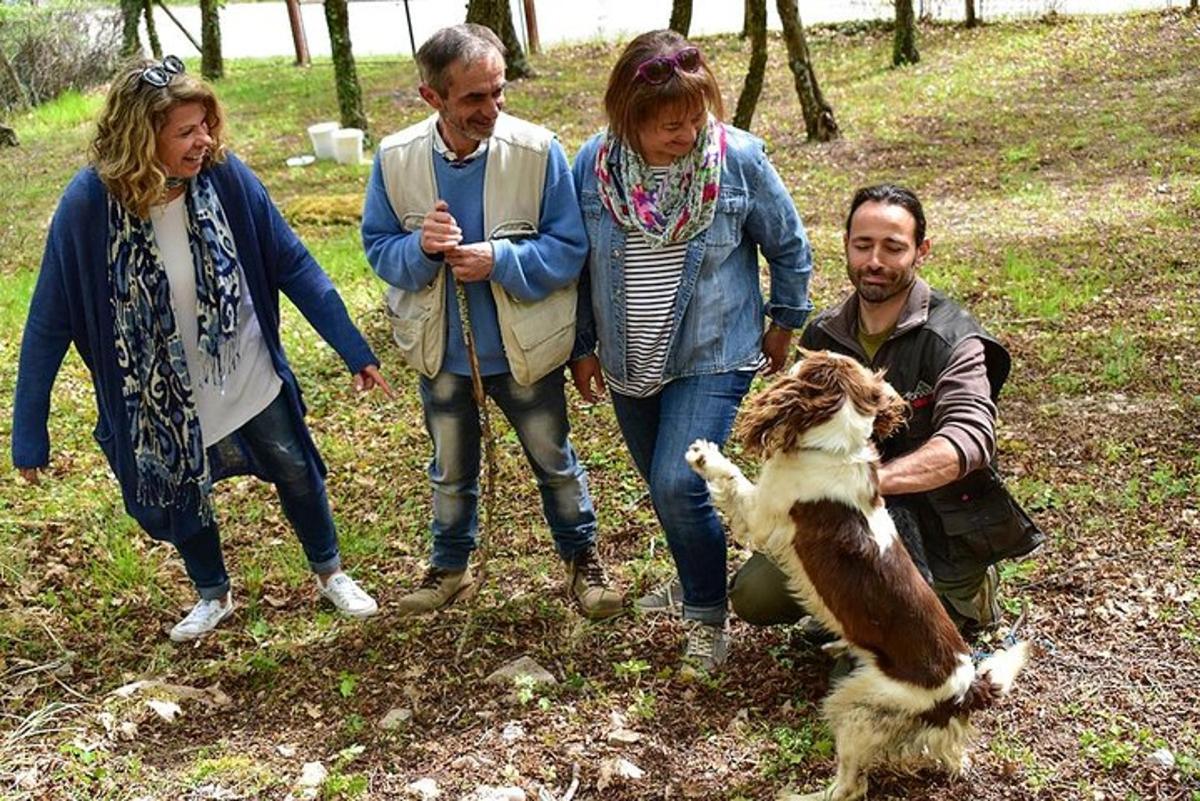 a group of people standing around a dog in a field