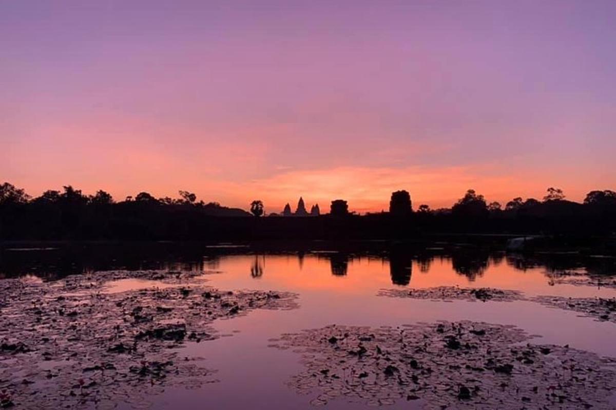 un tramonto su un lago con alberi sullo sfondo