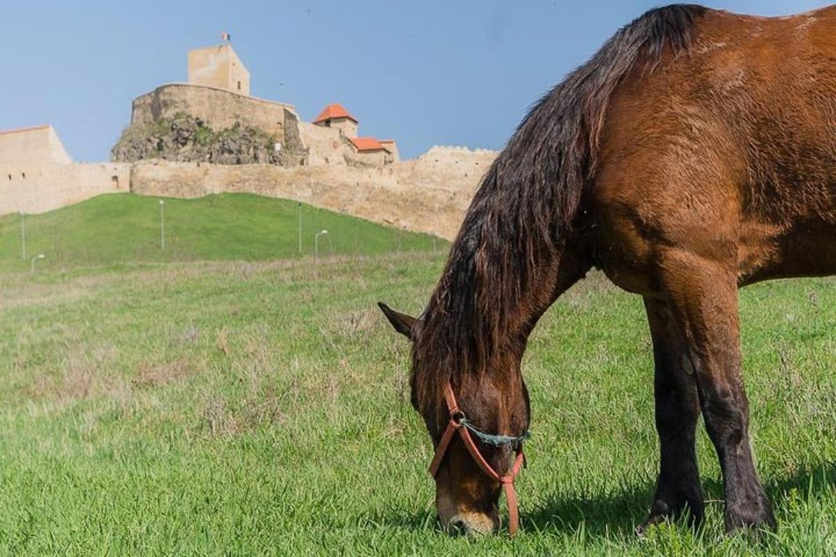 Фотография варианта досуга 3