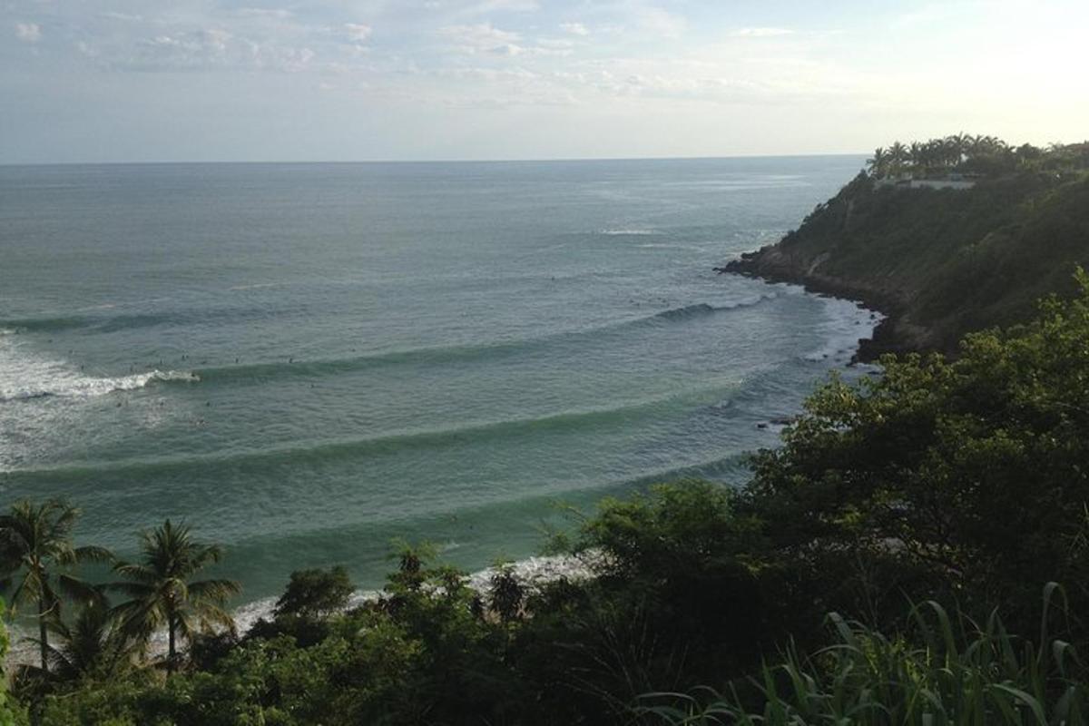 a view of the ocean from a hill with trees