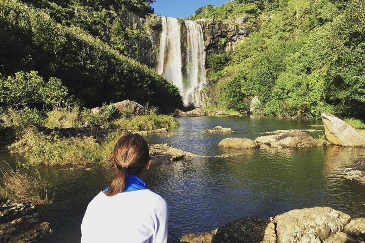 una donna in piedi davanti a una cascata