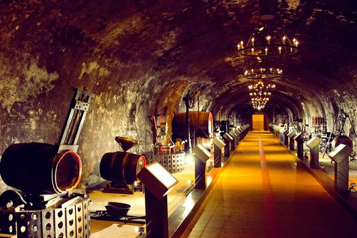 un túnel amb un munt de bótes de vi a dins