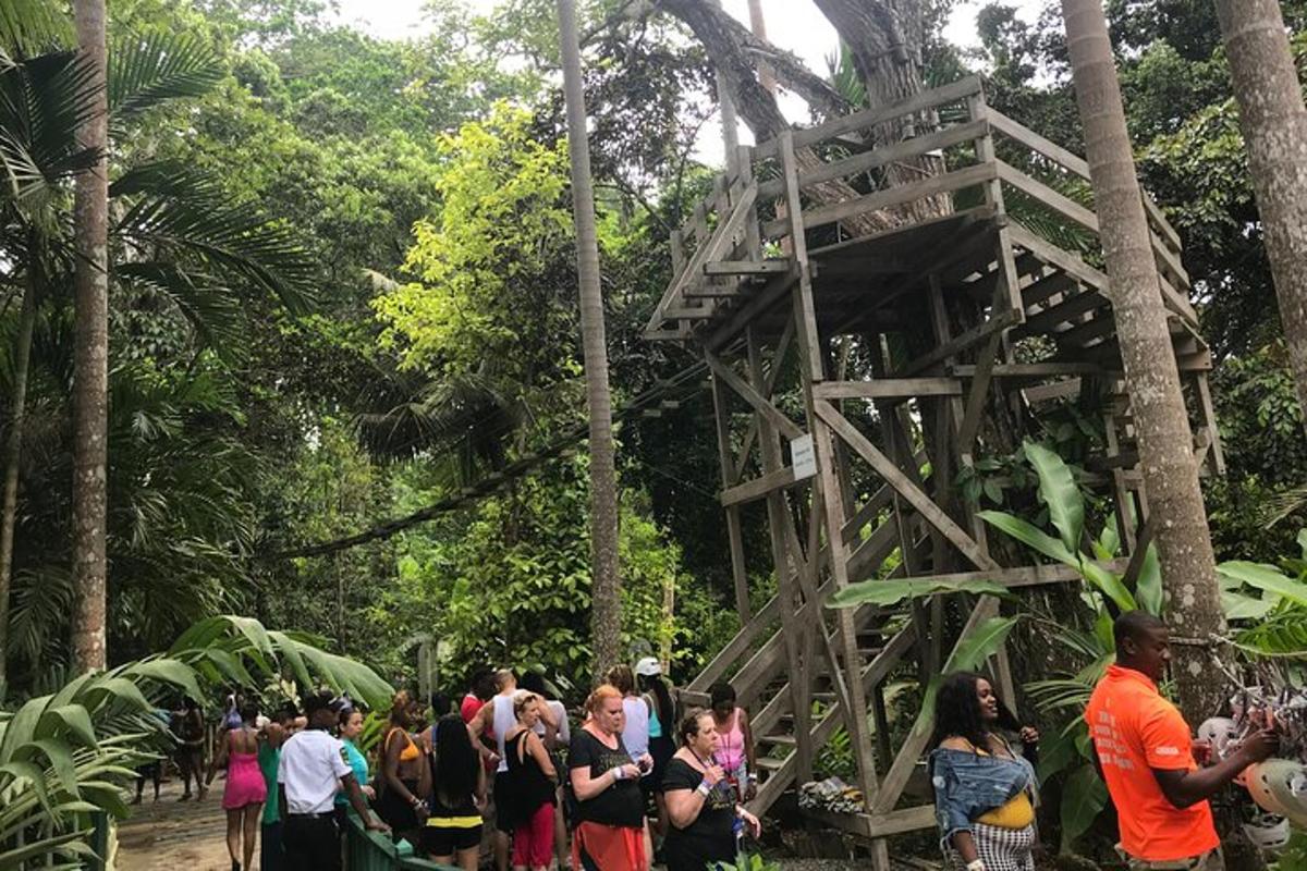 sekelompok orang berdiri di sekitar menara kayu di hutan