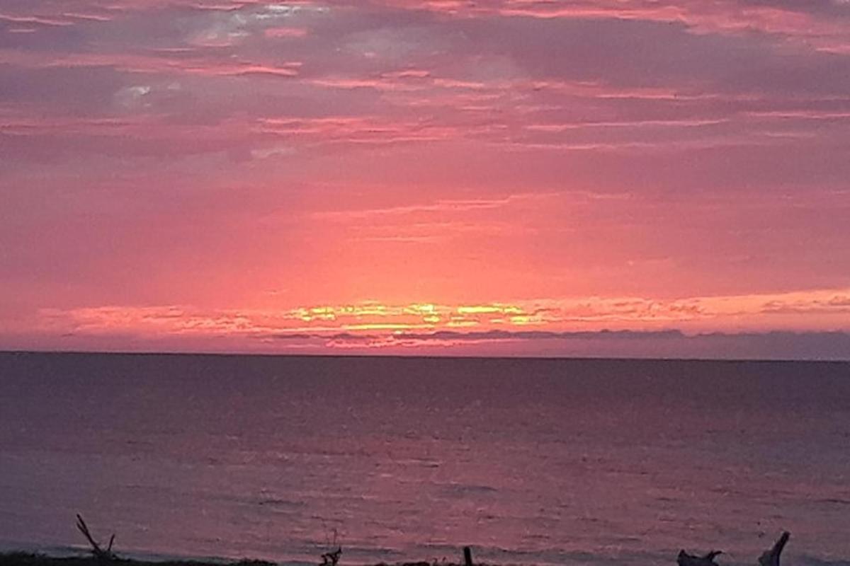 un tramonto sull'oceano con un cavallo in primo piano